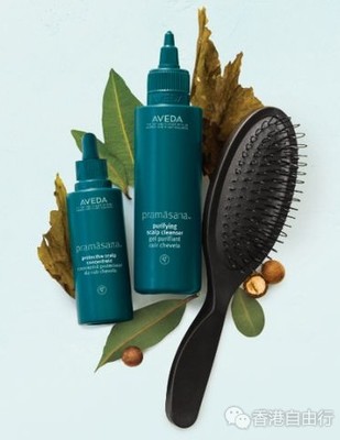 香港購物指南 頭發(fā)油膩問題解決方案與深層清潔產品推薦（附本地報價）